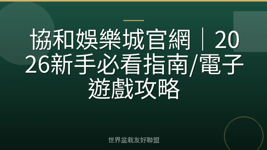 協和娛樂城官網|2026新手必看指南/電子遊戲攻略