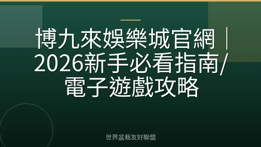 博九來娛樂城官網|2026新手必看指南/電子遊戲攻略