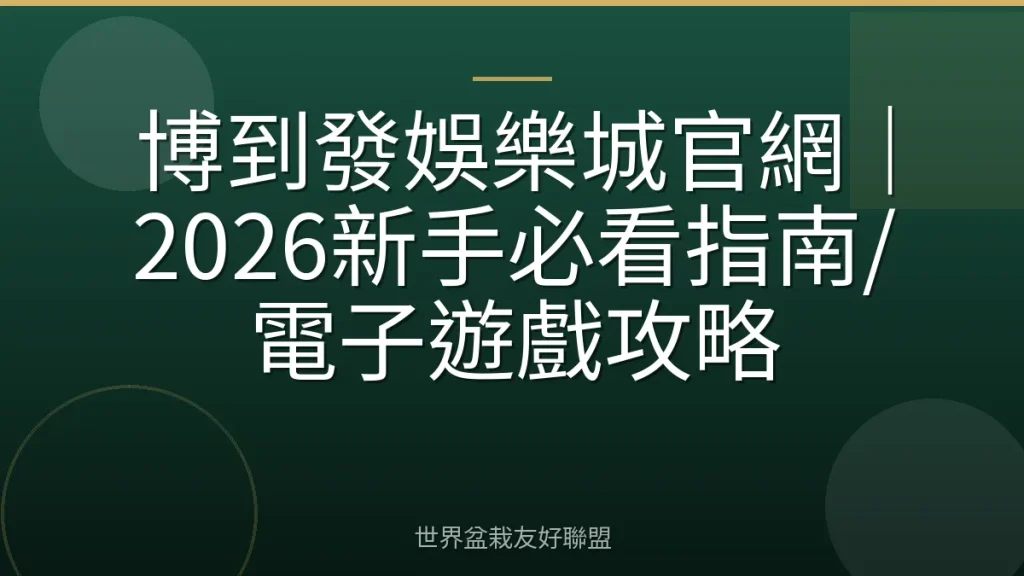 博到發娛樂城官網|2026新手必看指南/電子遊戲攻略