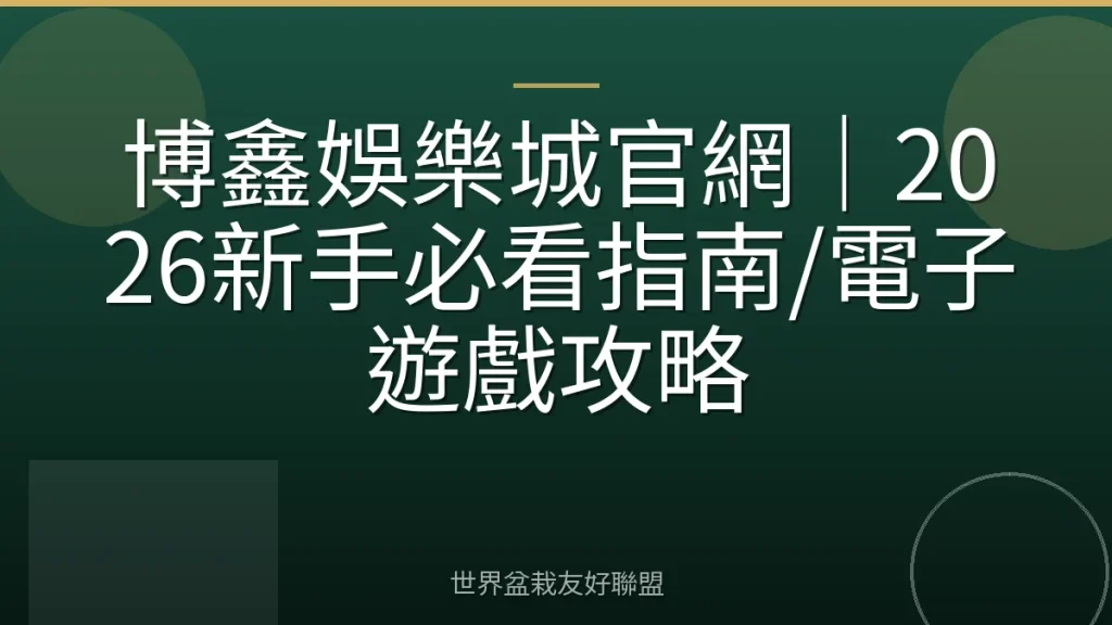 博鑫娛樂城官網｜2026新手必看指南/電子遊戲攻略