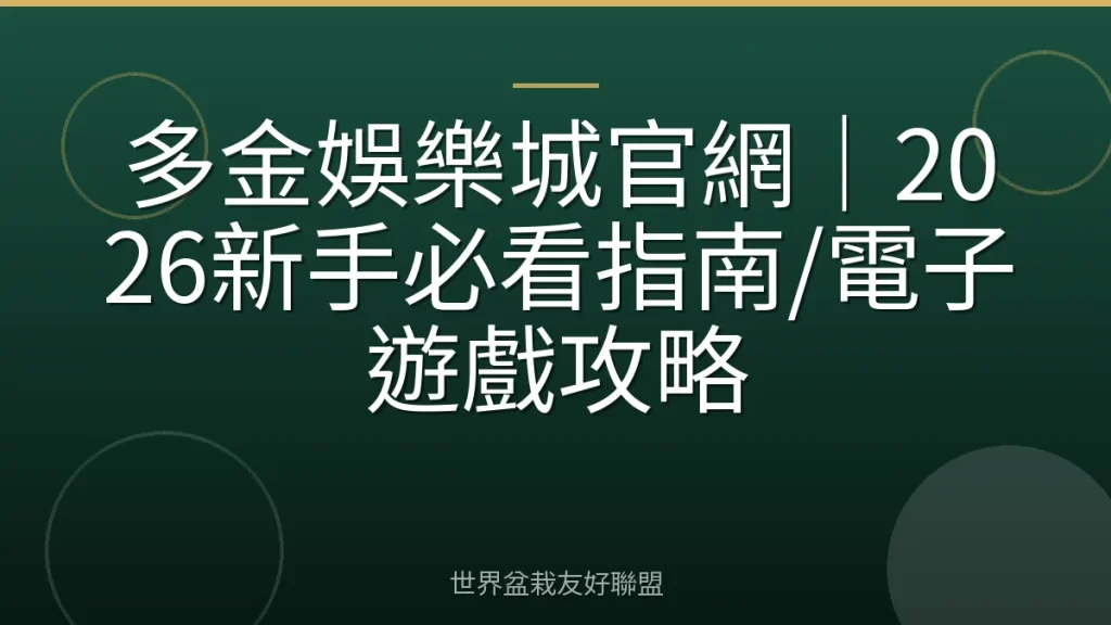 多金娛樂城官網|2026新手必看指南/電子遊戲攻略