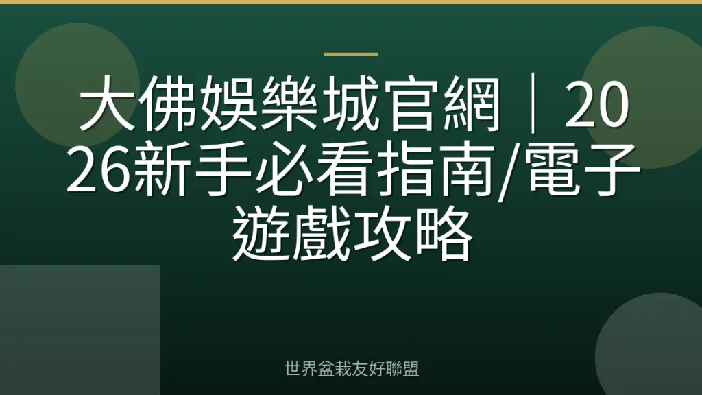 大佛娛樂城官網|2026新手必看指南/電子遊戲攻略