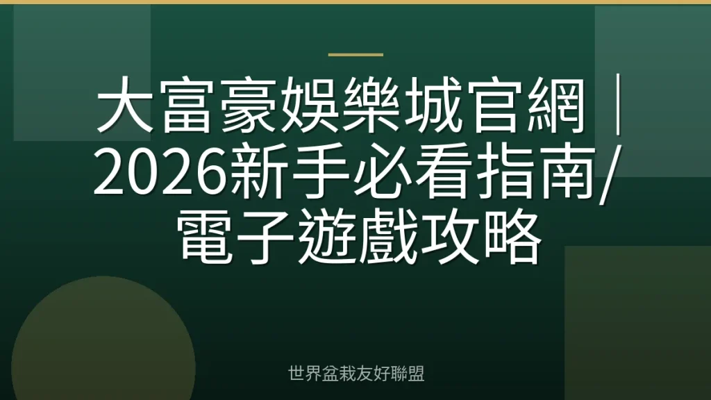 大富豪娛樂城官網｜2026新手必看指南/電子遊戲攻略