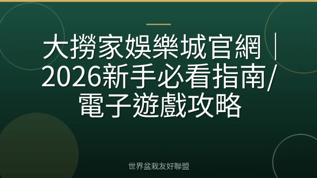 大撈家娛樂城官網|2026新手必看指南/電子遊戲攻略