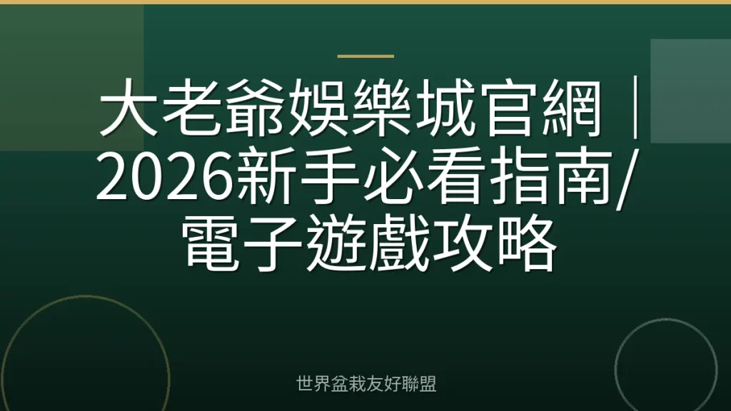 大老爺娛樂城官網|2026新手必看指南/電子遊戲攻略