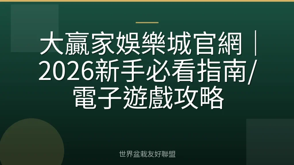 大贏家娛樂城官網|2026新手必看指南/電子遊戲攻略