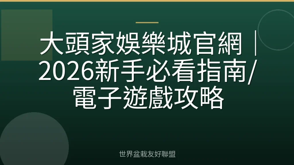 大頭家娛樂城官網|2026新手必看指南/電子遊戲攻略