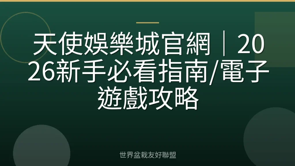 天使娛樂城官網|2026新手必看指南/電子遊戲攻略