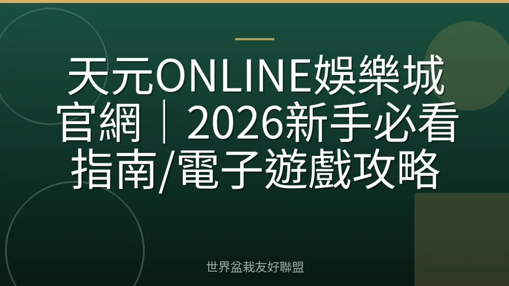 天元ONLINE娛樂城官網|2026新手必看指南/電子遊戲攻略