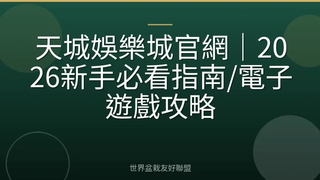 天城娛樂城官網|2026新手必看指南/電子遊戲攻略