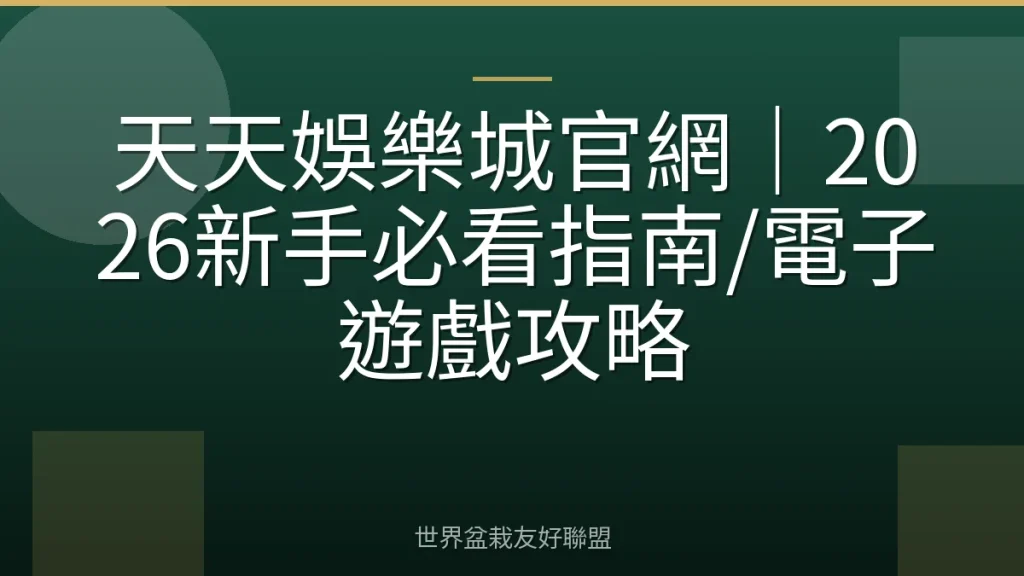 天天娛樂城官網｜2026新手必看指南/電子遊戲攻略