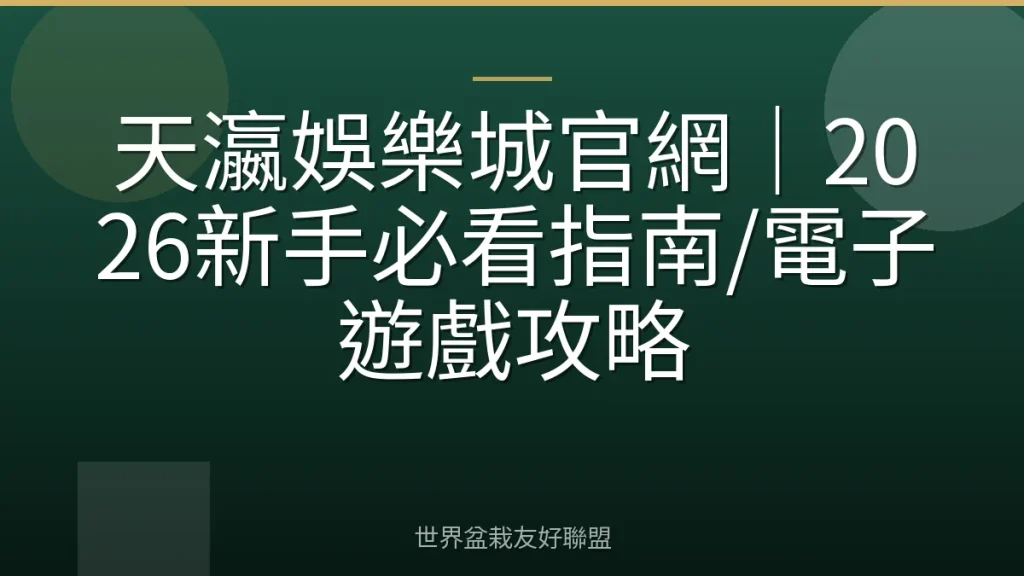 天瀛娛樂城官網｜2026新手必看指南/電子遊戲攻略
