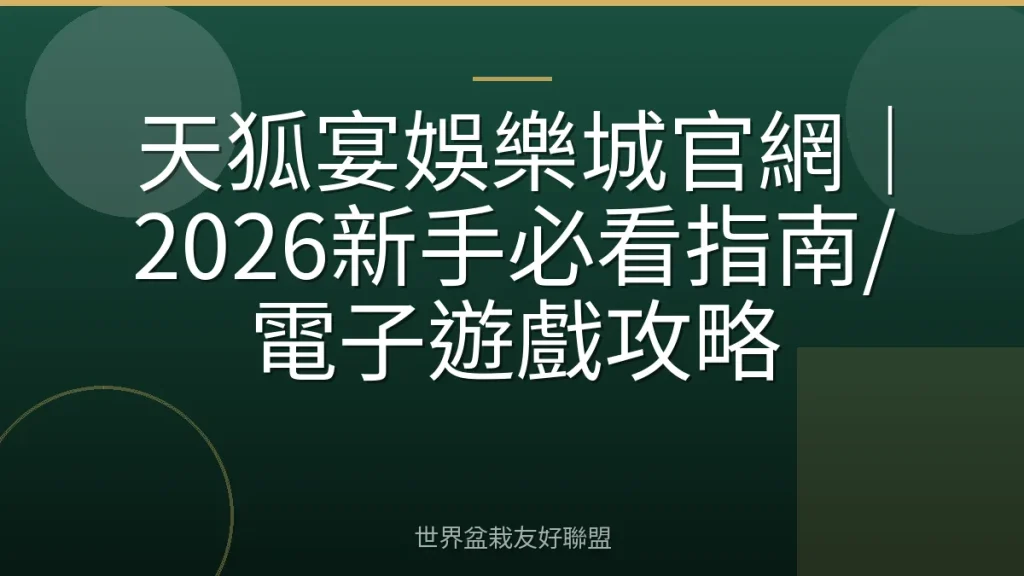 天狐宴娛樂城官網|2026新手必看指南/電子遊戲攻略