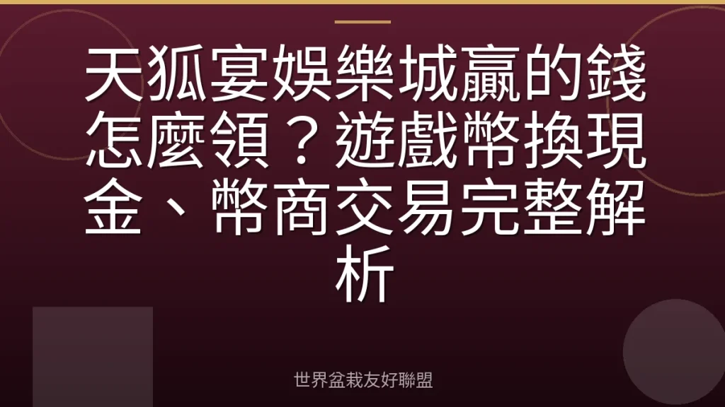 天狐宴娛樂城贏的錢怎麼領?遊戲幣換現金、幣商交易完整解析