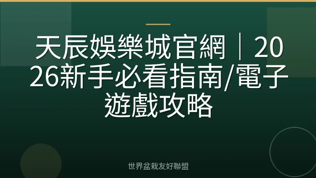 天辰娛樂城官網｜2026新手必看指南/電子遊戲攻略