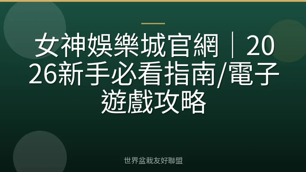 女神娛樂城官網｜2026新手必看指南/電子遊戲攻略