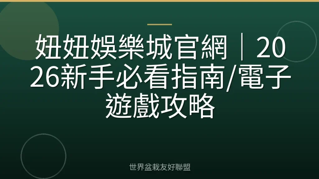 妞妞娛樂城官網｜2026新手必看指南/電子遊戲攻略