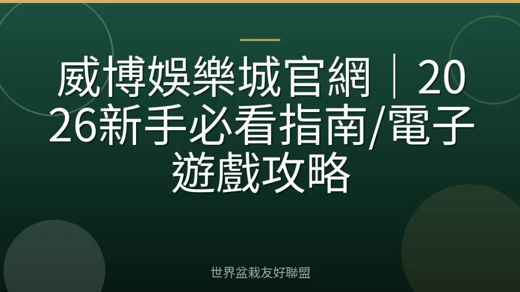 威博娛樂城官網｜2026新手必看指南/電子遊戲攻略