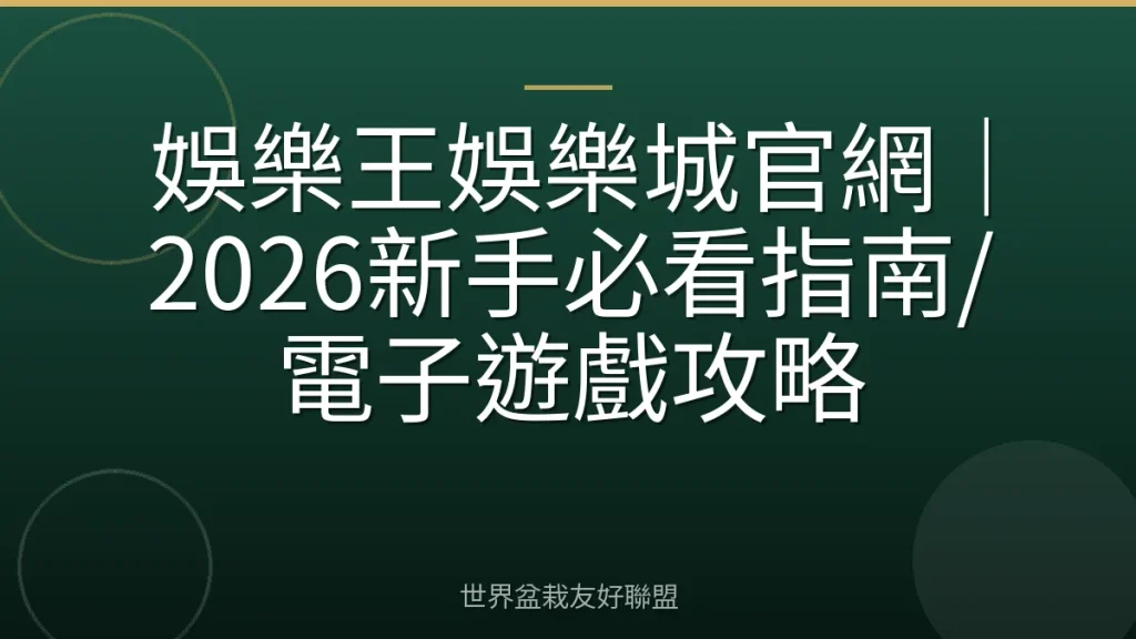 娛樂王娛樂城官網｜2026新手必看指南/電子遊戲攻略