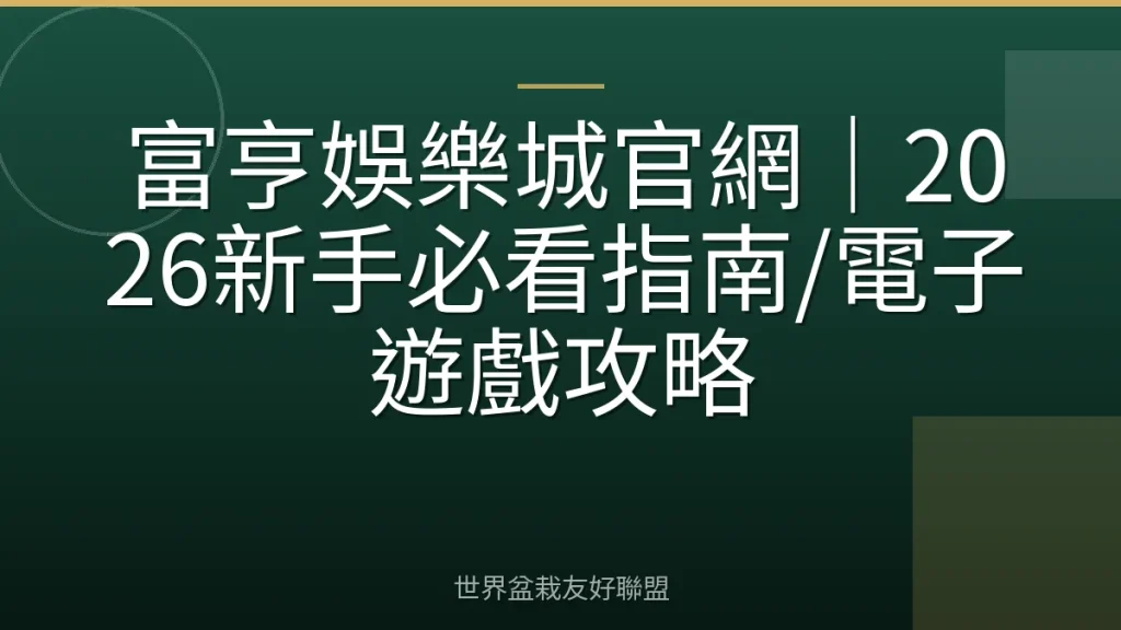 富亨娛樂城官網｜2026新手必看指南/電子遊戲攻略