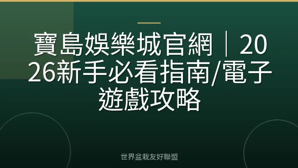 寶島娛樂城官網｜2026新手必看指南/電子遊戲攻略