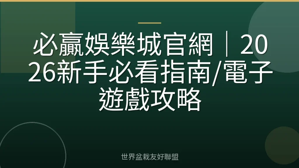必贏娛樂城官網|2026新手必看指南/電子遊戲攻略