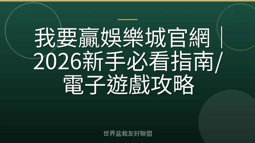 我要贏娛樂城官網|2026新手必看指南/電子遊戲攻略