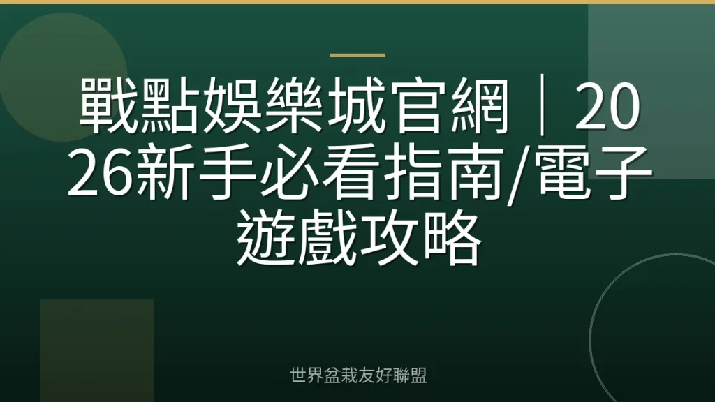 戰點娛樂城官網|2026新手必看指南/電子遊戲攻略