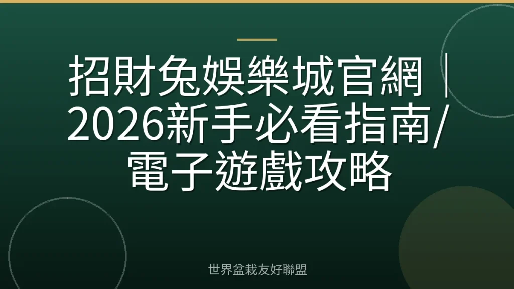 招財兔娛樂城官網|2026新手必看指南/電子遊戲攻略