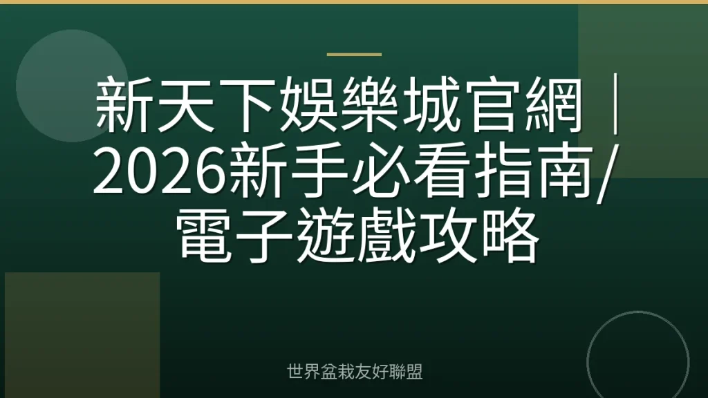 新天下娛樂城官網|2026新手必看指南/電子遊戲攻略