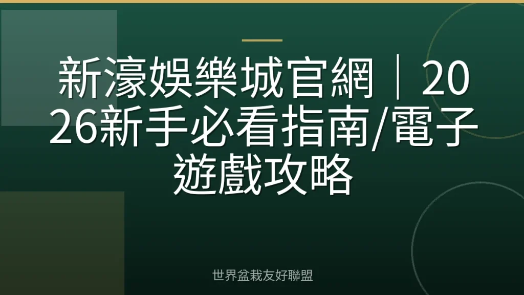新濠娛樂城官網|2026新手必看指南/電子遊戲攻略
