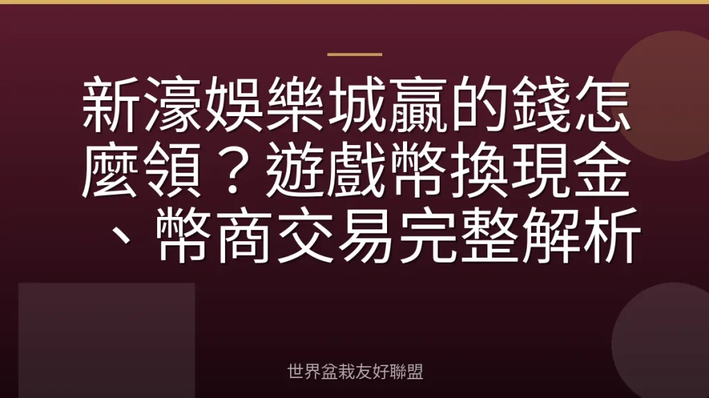 新濠娛樂城贏的錢怎麼領?遊戲幣換現金、幣商交易完整解析