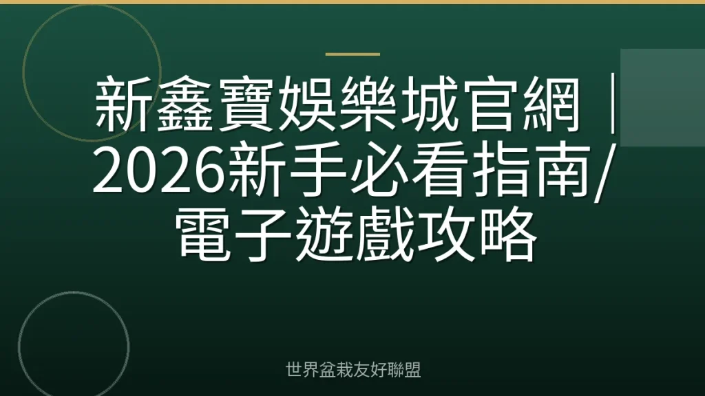新鑫寶娛樂城官網｜2026新手必看指南/電子遊戲攻略