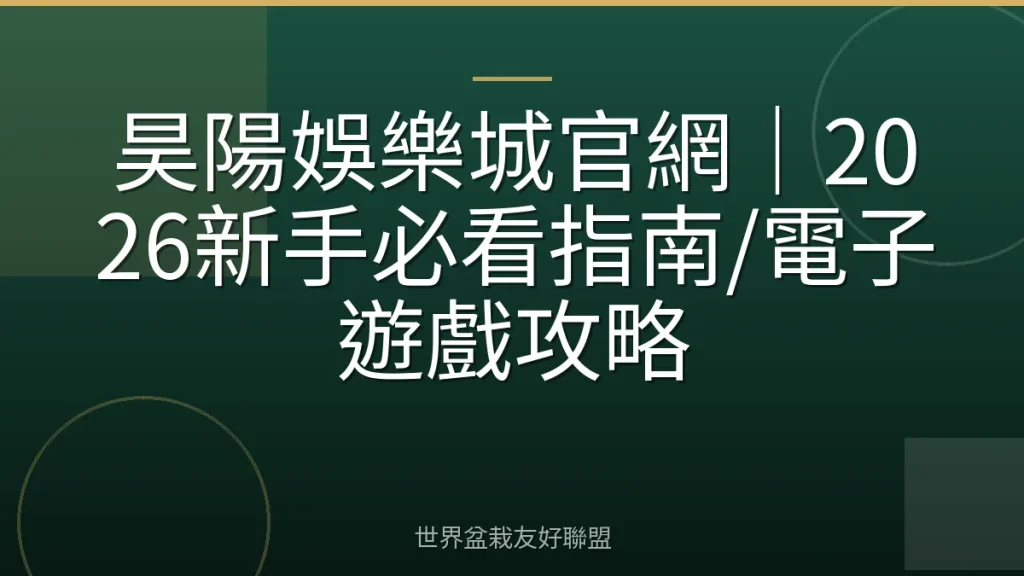 昊陽娛樂城官網｜2026新手必看指南/電子遊戲攻略