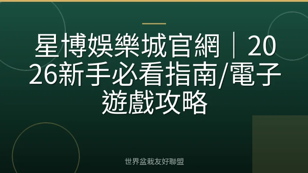 星博娛樂城官網|2026新手必看指南/電子遊戲攻略