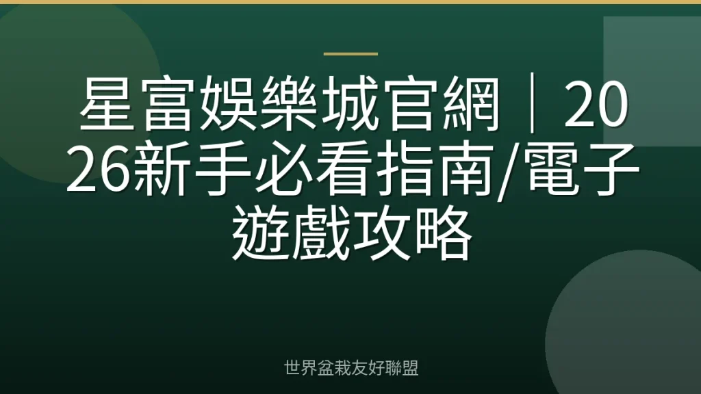 星富娛樂城官網|2026新手必看指南/電子遊戲攻略