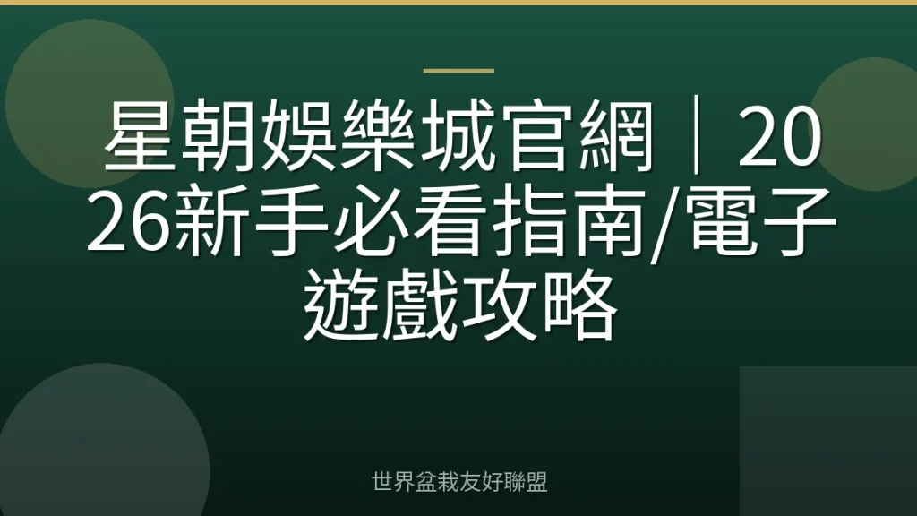 星朝娛樂城官網|2026新手必看指南/電子遊戲攻略