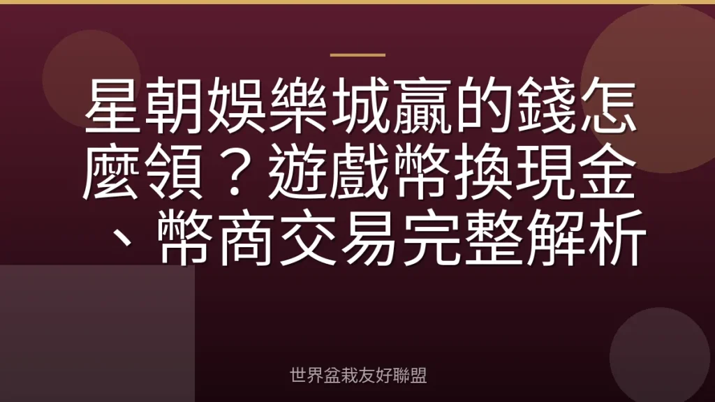 星朝娛樂城贏的錢怎麼領?遊戲幣換現金、幣商交易完整解析