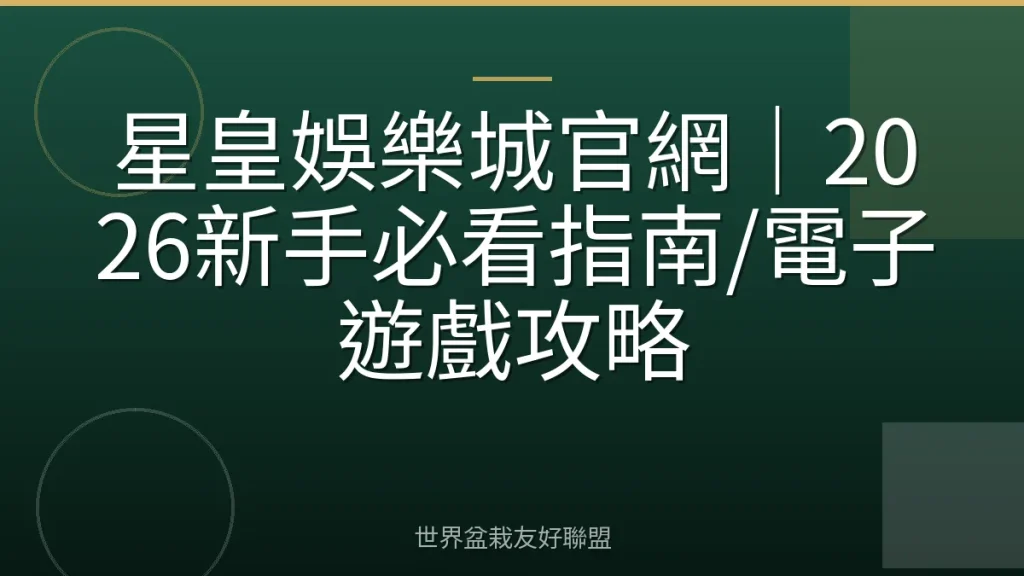 星皇娛樂城官網｜2026新手必看指南/電子遊戲攻略