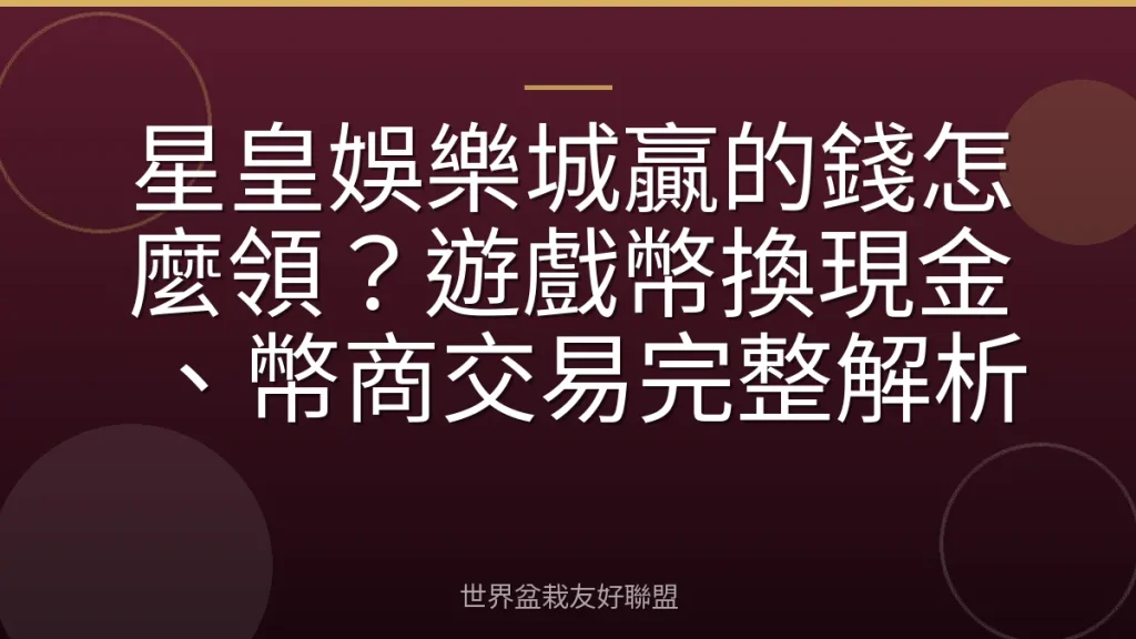 星皇娛樂城贏的錢怎麼領?遊戲幣換現金、幣商交易完整解析