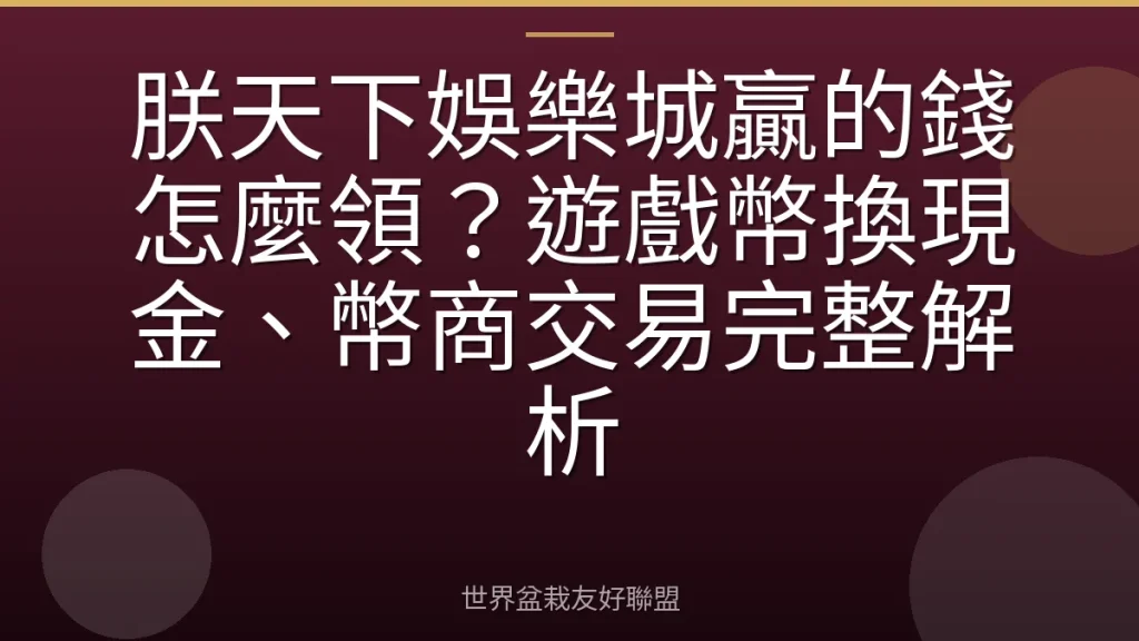 朕天下娛樂城贏的錢怎麼領?遊戲幣換現金、幣商交易完整解析