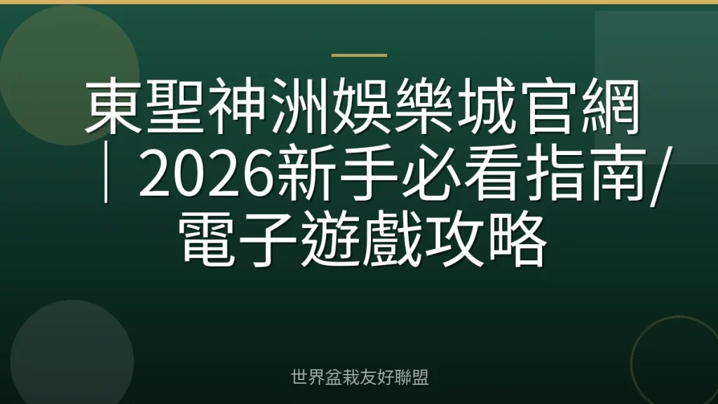 東聖神洲娛樂城官網|2026新手必看指南/電子遊戲攻略