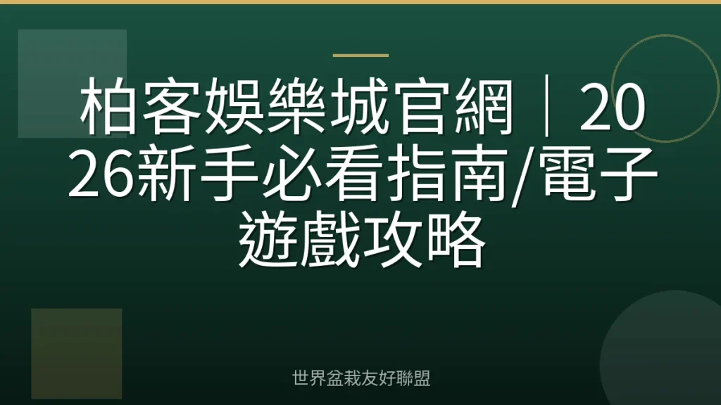 柏客娛樂城官網|2026新手必看指南/電子遊戲攻略