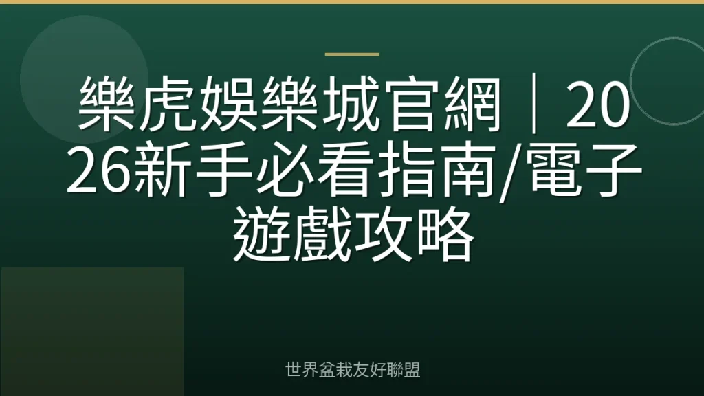 樂虎娛樂城官網|2026新手必看指南/電子遊戲攻略