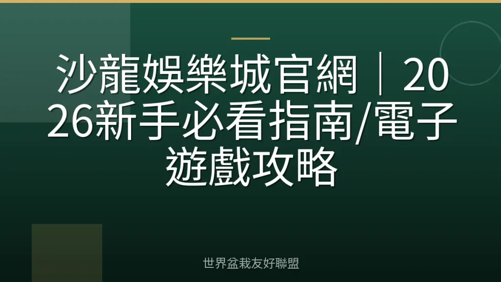 沙龍娛樂城官網｜2026新手必看指南/電子遊戲攻略