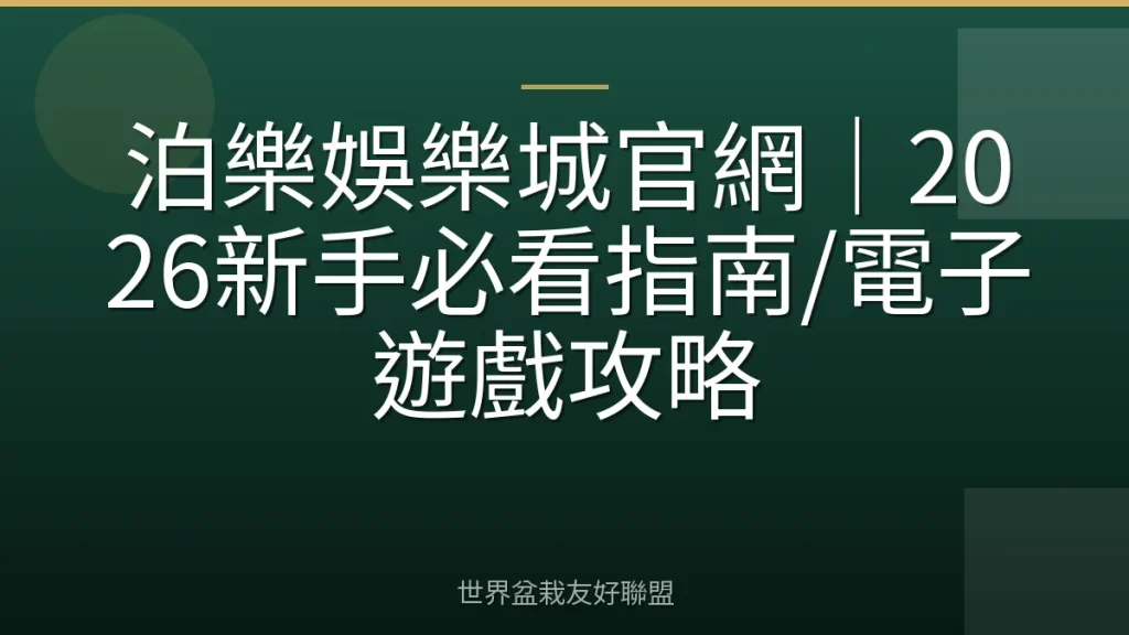 泊樂娛樂城官網｜2026新手必看指南/電子遊戲攻略