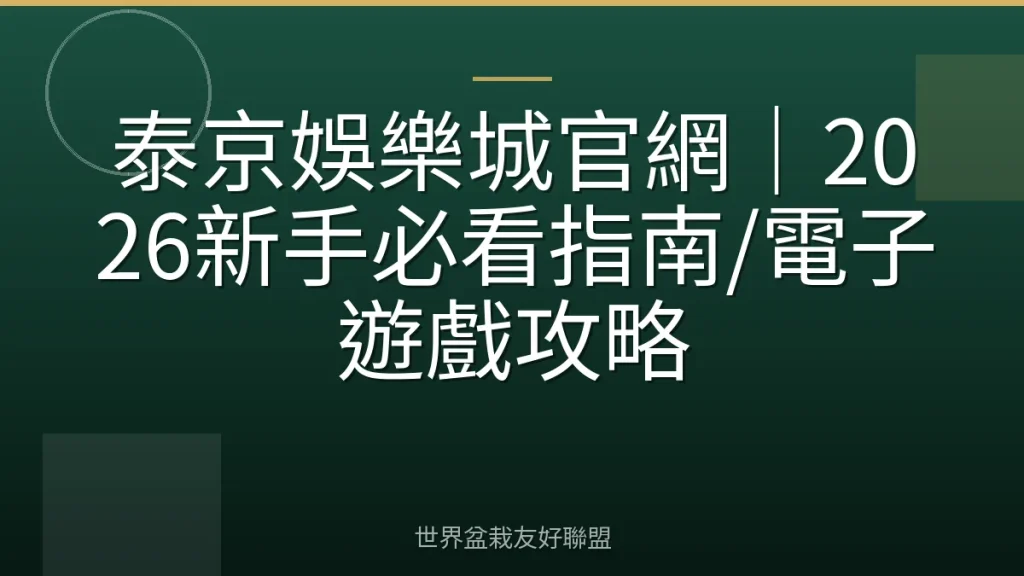 泰京娛樂城官網|2026新手必看指南/電子遊戲攻略