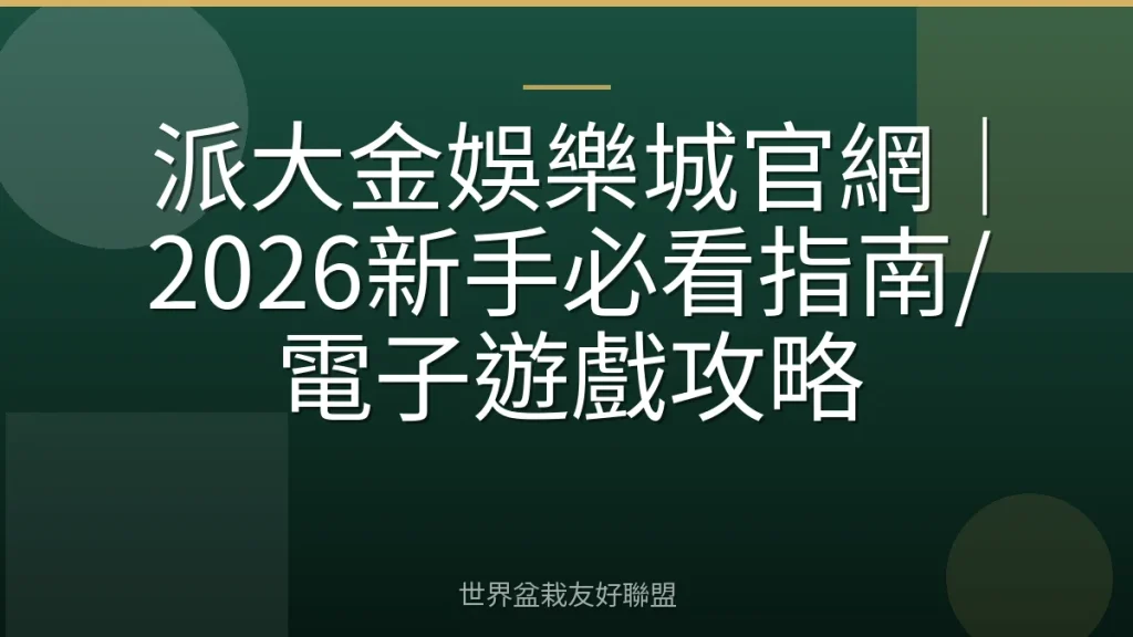 派大金娛樂城官網|2026新手必看指南/電子遊戲攻略