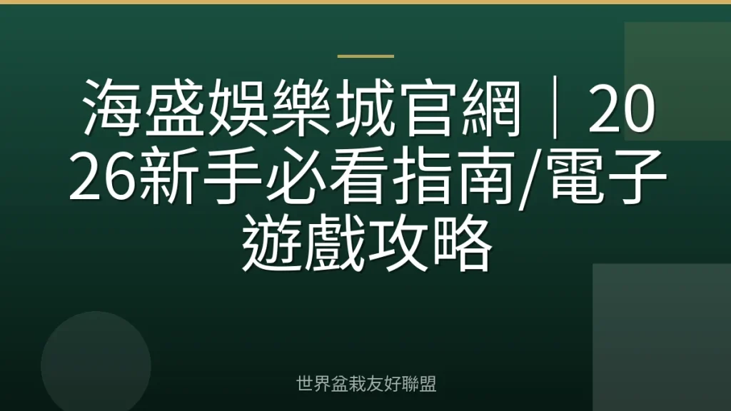 海盛娛樂城官網｜2026新手必看指南/電子遊戲攻略