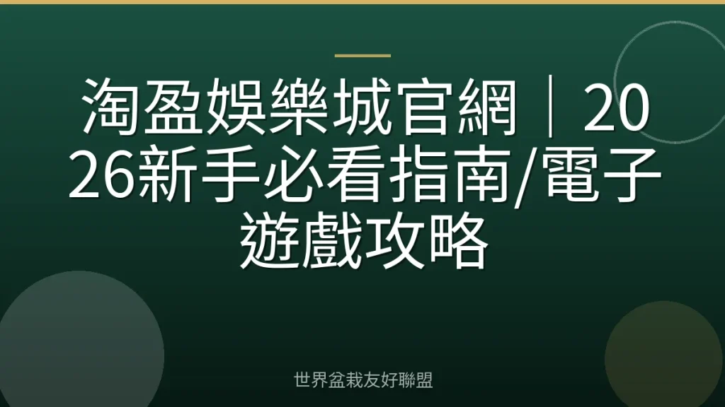 淘盈娛樂城官網|2026新手必看指南/電子遊戲攻略